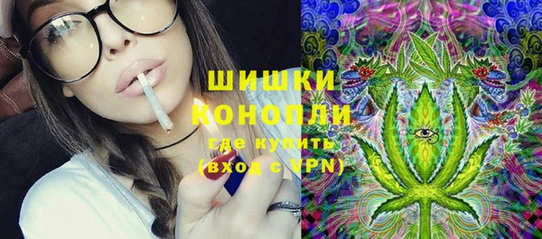 винт Гусиноозёрск