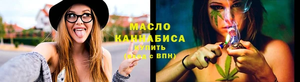 тгк Дмитров
