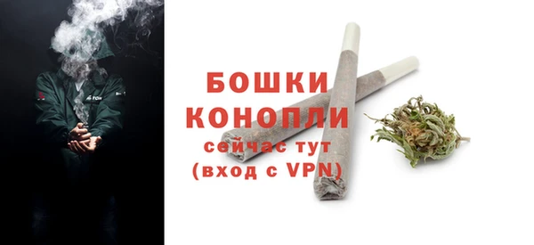соль ск Дмитровск