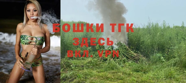 тгк Дмитров