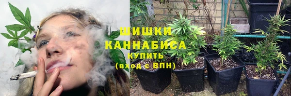 тгк Дмитров