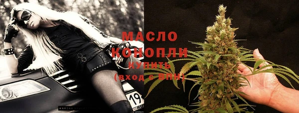 тгк Дмитров