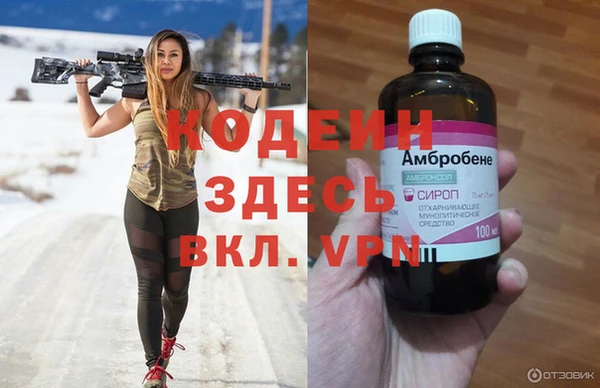 альфа пвп Гусев