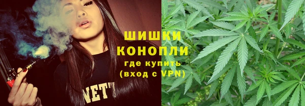 тгк Дмитров