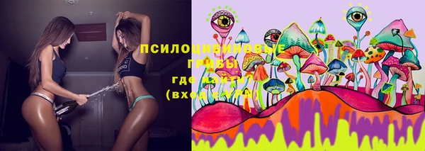 тгк Дмитров